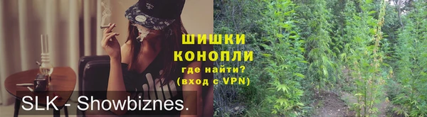 ГАЛЛЮЦИНОГЕННЫЕ ГРИБЫ Елабуга