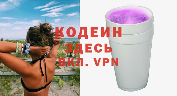 СК Ельня