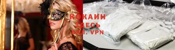 СК Ельня