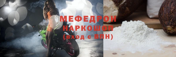 СК Ельня