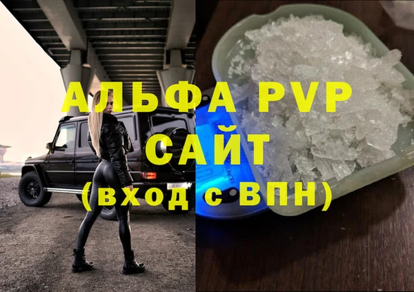 ГАЛЛЮЦИНОГЕННЫЕ ГРИБЫ Елабуга