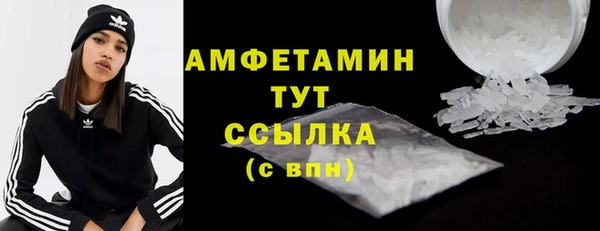 ГАЛЛЮЦИНОГЕННЫЕ ГРИБЫ Елабуга