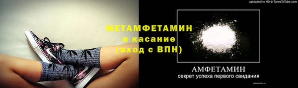 ГАЛЛЮЦИНОГЕННЫЕ ГРИБЫ Елабуга