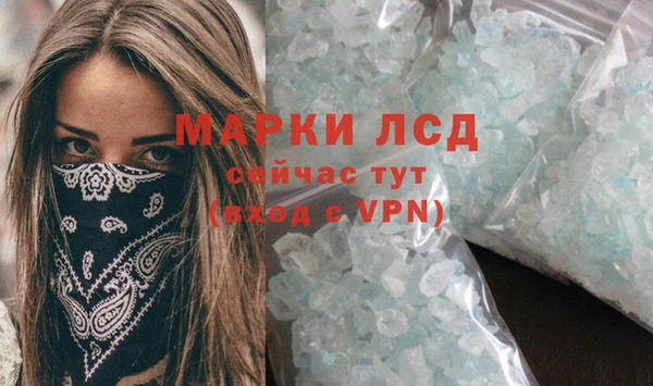 ГАЛЛЮЦИНОГЕННЫЕ ГРИБЫ Елабуга