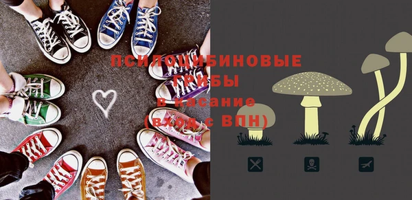 СК Ельня