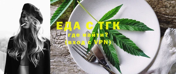 СК Ельня