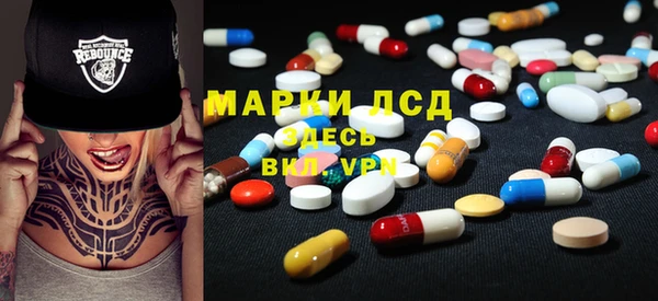 СК Ельня