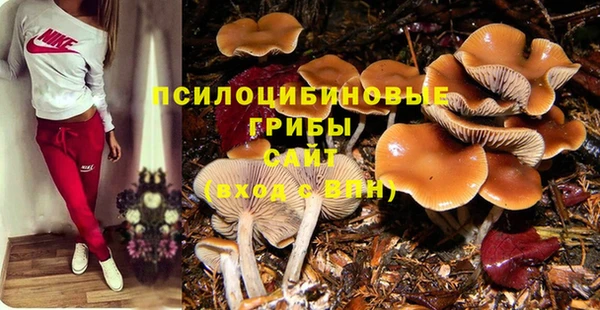 СК Ельня