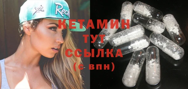 СК Ельня