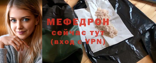 СК Ельня