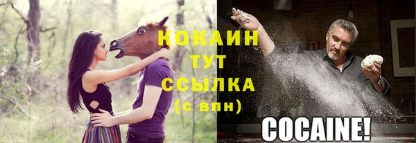меф Елизово
