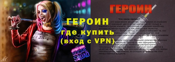 СК Ельня