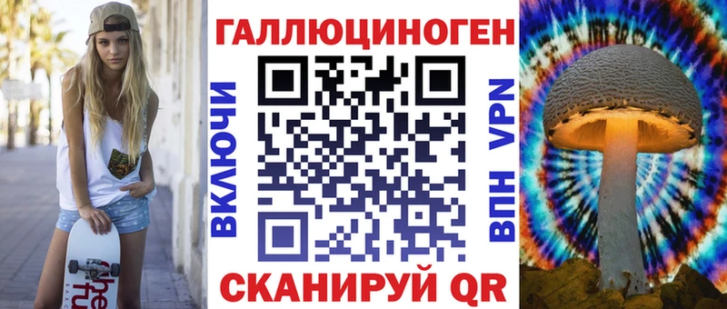 что такое   Кизляр  Псилоцибиновые грибы Magic Shrooms 